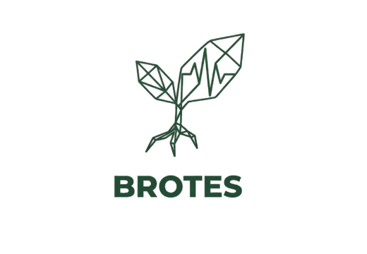 BROTES 2026 – Culture and Sustainability Festival