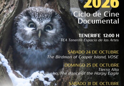 Pajareros 2026: Documentary Film Cycle at TEA