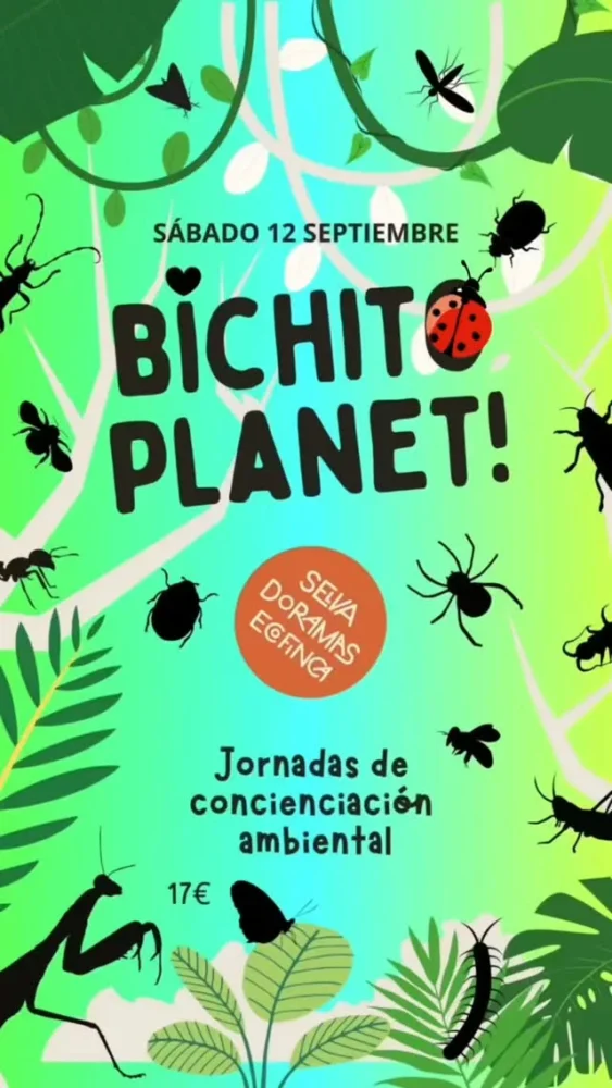 Activities — «Bichito Planet»