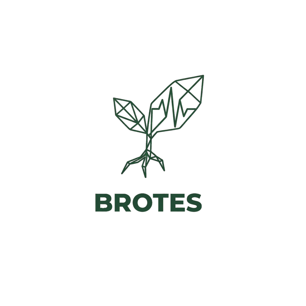 BROTES 2026 – Culture and Sustainability Festival