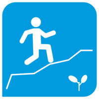 First Trail Running Day of the IX Master Games