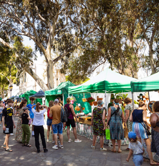 Haría Traditional Artisan Market · 26 September