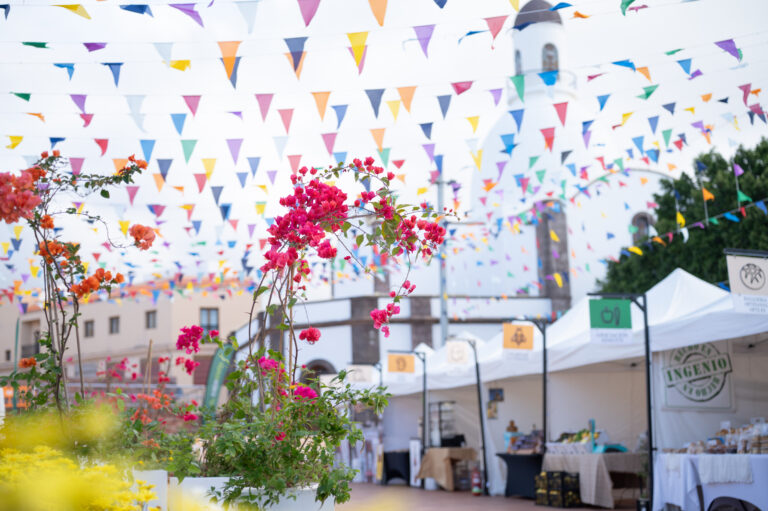 Km.0 Gran Canaria Fair – Fontanales 2026