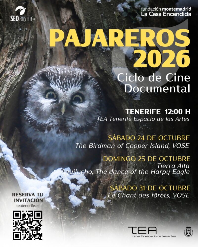 Pajareros 2026: Documentary Film Cycle at TEA