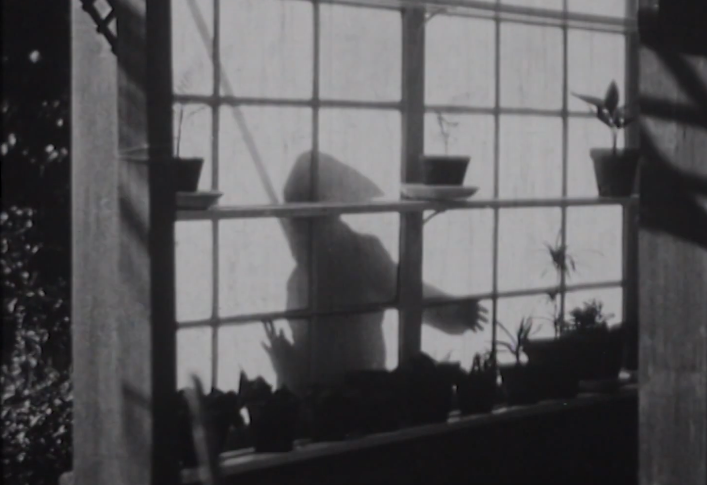 The Thief of the White Gloves — Silent Film with Live Piano