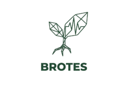 BROTES 2026 – Culture and Sustainability Festival
