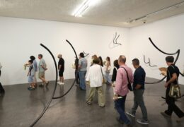 Guided tour of ‘A Parrot, Three Bars and Gold Teeth’ by Pérez and Requena