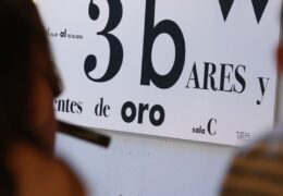 Guided tour of ‘A Parrot, Three Bars and Gold Teeth’ by Pérez and Requena - Photo 2