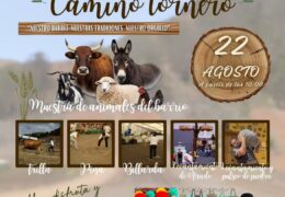 Traditions Day – Camino Tornero 2026